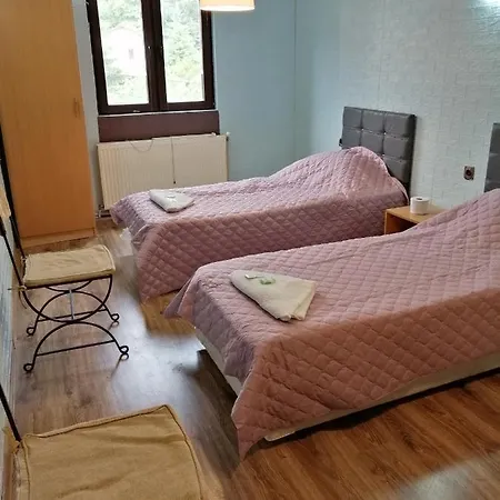 с две отделни легла Хотел